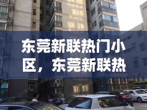 东莞新联热门小区,东莞新联热门小区有哪些
