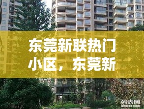 东莞新联热门小区,东莞新联热门小区有哪些