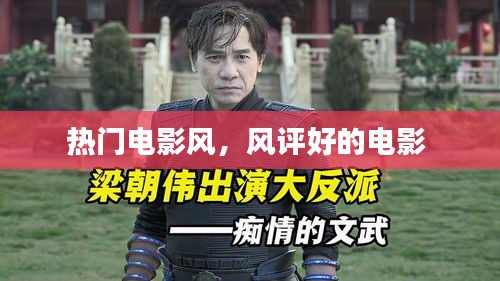 热门电影风,风评好的电影