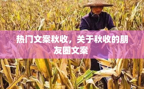虫蚀鸟步 第4页
