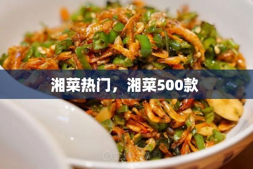 湘菜热门,湘菜500款