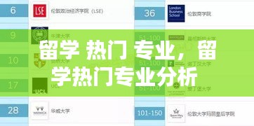 留学 热门 专业,留学热门专业分析