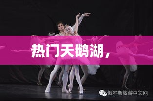 热门天鹅湖,