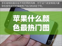 苹果什么颜色最热门图片,苹果啥颜色
