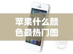 苹果什么颜色最热门图片,苹果啥颜色