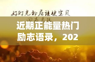 近期正能量热门励志语录,2021年正能量句子励志短句子