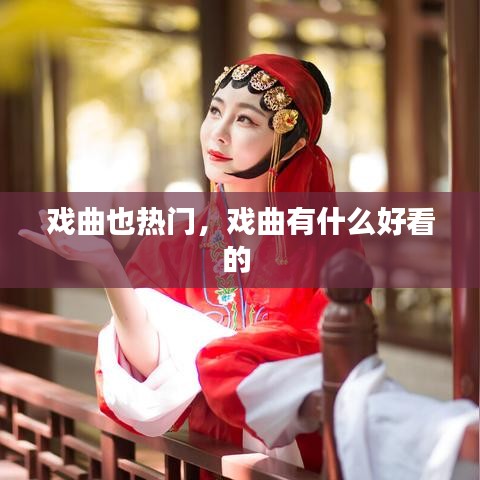 戏曲也热门,戏曲有什么好看的