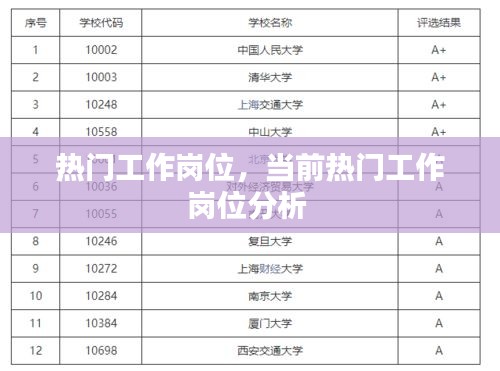 热门工作岗位,当前热门工作岗位分析