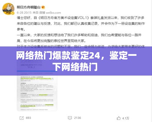 网络热门爆款鉴定24,鉴定一下网络热门