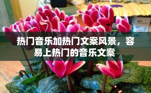 热门音乐加热门文案风景,容易上热门的音乐文案