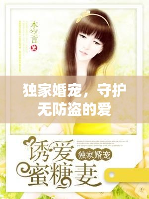 独家婚宠,守护无防盗的爱