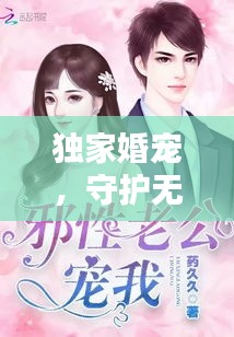 独家婚宠,守护无防盗的爱