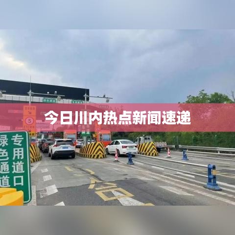 今日川内热点新闻速递