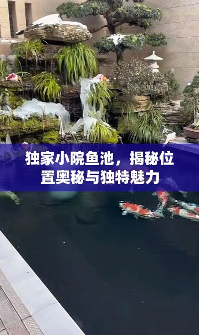 独家小院鱼池,揭秘位置奥秘与独特魅力