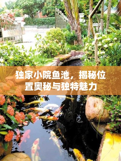 独家小院鱼池,揭秘位置奥秘与独特魅力