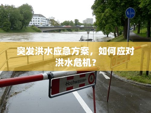 突发洪水应急方案,如何应对洪水危机?