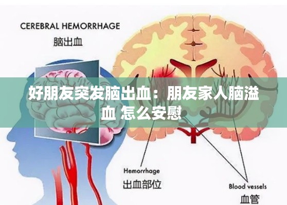 好朋友突发脑出血:朋友家人脑溢血 怎么安慰