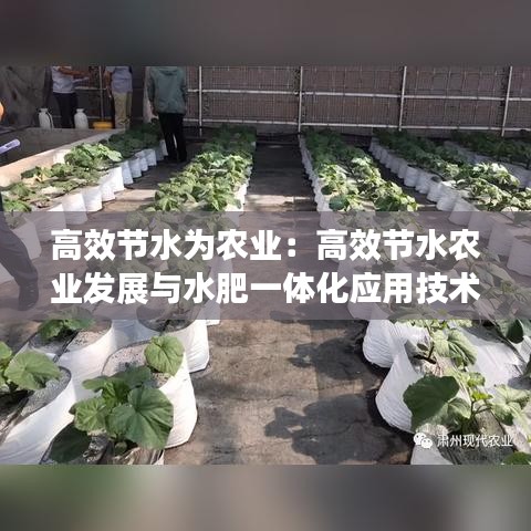 高效节水为农业:高效节水农业发展与水肥一体化应用技术培训会美篇