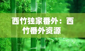 西竹独家番外:西竹番外资源