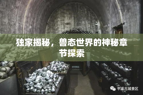 独家揭秘,兽态世界的神秘章节探索