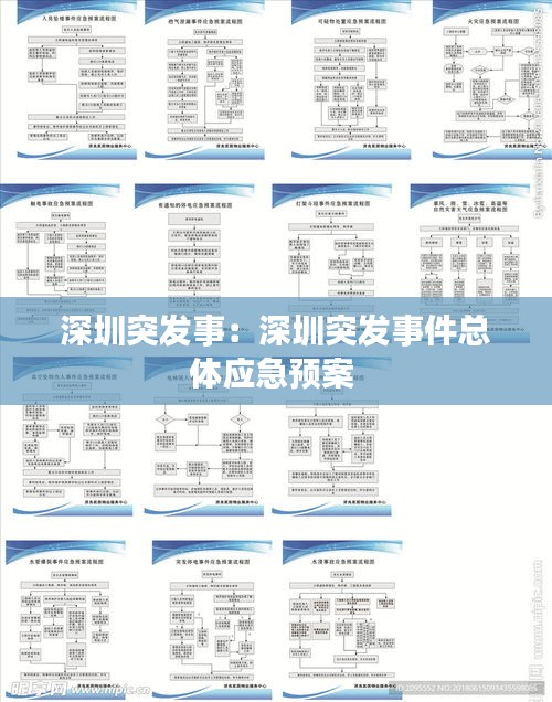 深圳突发事:深圳突发事件总体应急预案