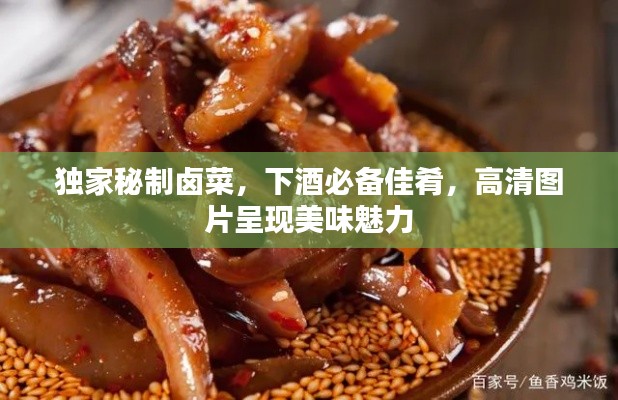 独家秘制卤菜,下酒必备佳肴,高清图片呈现美味魅力