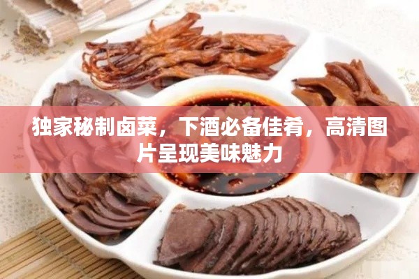 独家秘制卤菜,下酒必备佳肴,高清图片呈现美味魅力