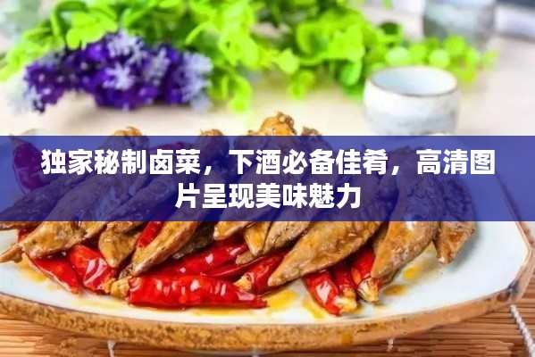 独家秘制卤菜,下酒必备佳肴,高清图片呈现美味魅力
