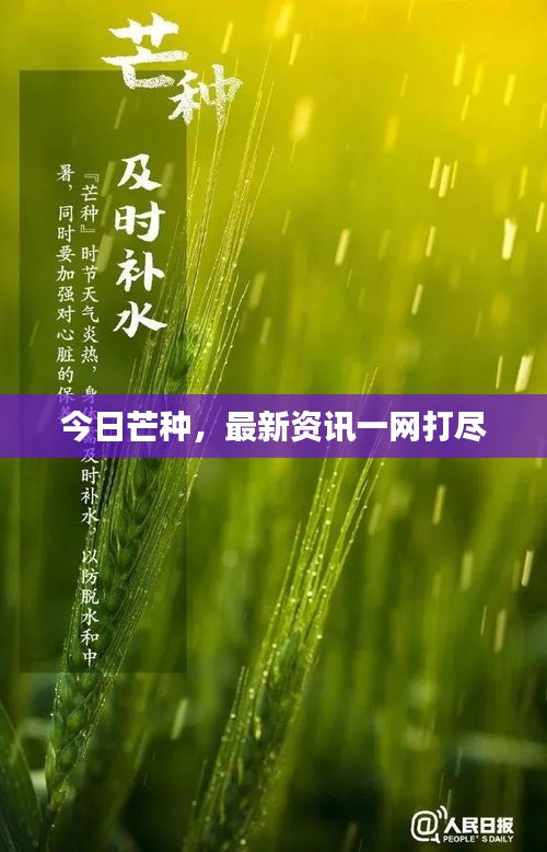 今日芒种,最新资讯一网打尽