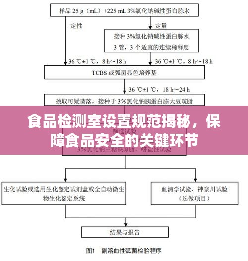 食品检测室设置规范揭秘，保障食品安全的关键环节