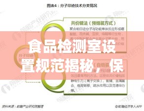 食品检测室设置规范揭秘,保障食品安全的关键环节