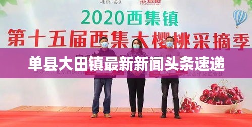 单县大田镇最新新闻头条速递