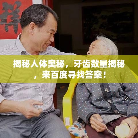 荆钗布裙 第4页