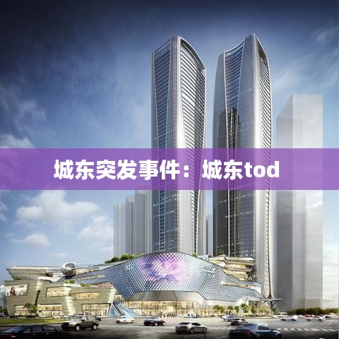城东突发事件:城东tod