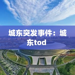 城东突发事件:城东tod