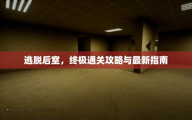 逃脱后室,终极通关攻略与最新指南