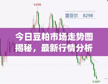 今日豆粕市场走势图揭秘,最新行情分析与未来展望