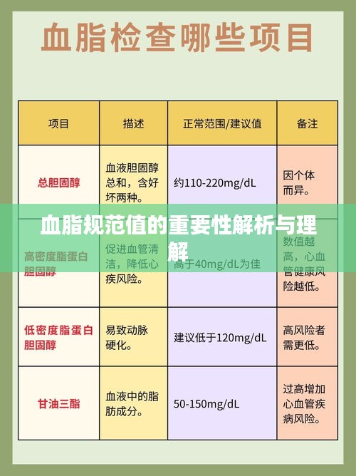 血脂规范值的重要性解析与理解