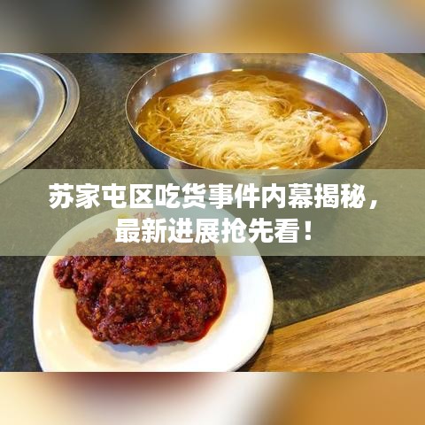 苏家屯区吃货事件内幕揭秘,最新进展抢先看!
