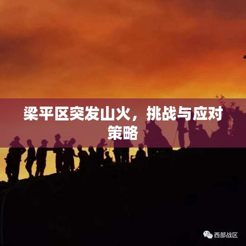 梁平区突发山火,挑战与应对策略