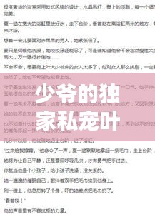 少爷的独家私宠叶子墨:小说少爷的独家私宠