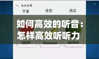 如何高效的听音:怎样高效听听力