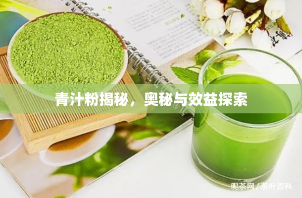 青汁粉揭秘,奥秘与效益探索