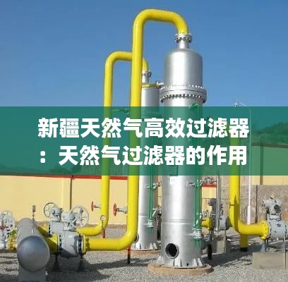 新疆天然气高效过滤器:天然气过滤器的作用