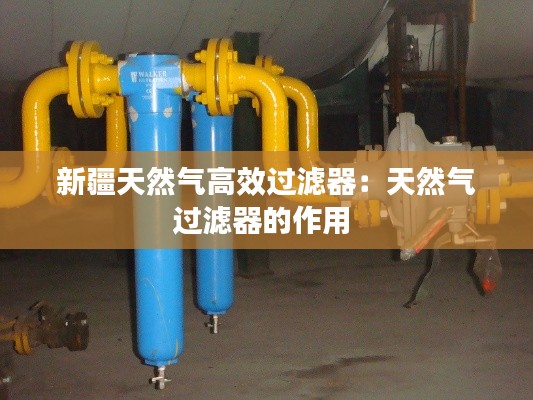 新疆天然气高效过滤器:天然气过滤器的作用
