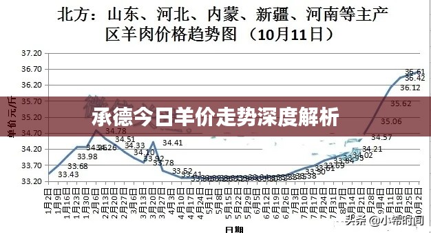 承德今日羊价走势深度解析