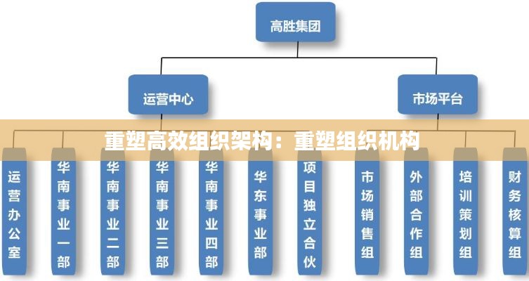 重塑高效组织架构:重塑组织机构