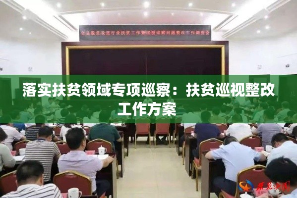 落实扶贫领域专项巡察:扶贫巡视整改工作方案