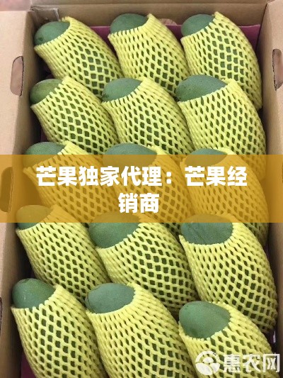 芒果独家代理:芒果经销商
