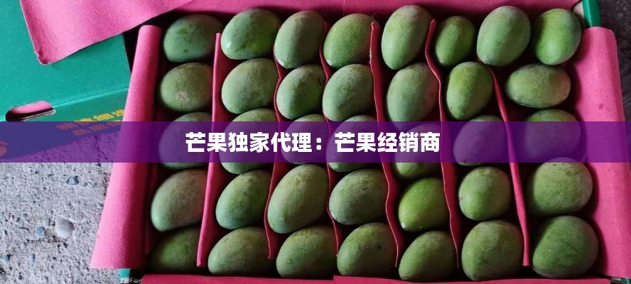 芒果独家代理:芒果经销商